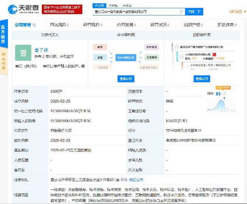 小米落子重庆，成立产融大数据公司，布局区块链与数据处理服务