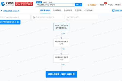 国资入局鸿蒙生态 深投控成立专业服务公司，强化数据处理与存储能力